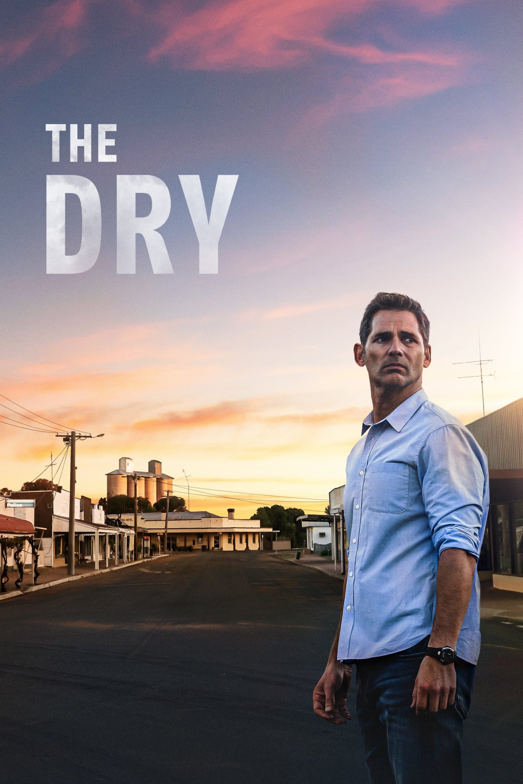 movie reviews of the dry